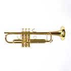 Bach Model 17043gyr  apollo  Professional Bb Trumpet Sn 797195 Open Box