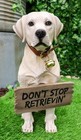 Lifelike Yellow Labrador Retriever Dog With Welcome Jingle Collar Sign Statue