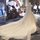 Sparkle Cathedral Wedding Veil Long Glitter Bridal Veils With Comb For Women    