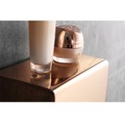 Toilet Paper Box Holder Stainless Steel Bathroom Double Tissue Paper Towel Roll