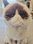 Gund Grumpy Cat  4040133 Stuffed Animal 10  Plush 