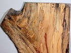 D01 Spalted Beech Wood Live Edge Slab Tabletop  47 1 2x27x1 5 8