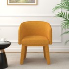 Modern Style Simple And Elegant Chair  Orange Leisure Chair  Suitable For Dining