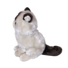 Gund 4040133 Grumpy Cat Sitting Blue Eyes Plush Stuffed Toy 10 