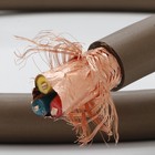Audiophile Monosaudio P905 Occ Hi-fi Ac Power Cable Carbon Fiber Us Eu Connector