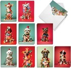 20 Assorted Christmas Note Cards Boxed Set 4 X 5 12 Inch With Envelopes 10 De   