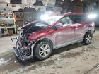 Radio Antenna   2018 Rav 4 Xle Red