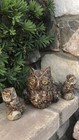Vintage Owls   Signed   Stones Seashells Metal Industrial Steampunk Atomic Look 