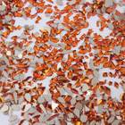 100pcs Small Shape Crystal Orange Czech Crystal Rhinestone Flatback Nail Art