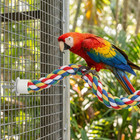 44 Inch Bird Perch  Cotton Rope Bird Toy For Large Parrots  African