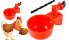 3 Pcs Automatic Water Cups Poultry Drinker Waterer Chicken Duck Quail Drinking 