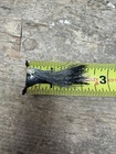 Wild Turkey Juvenile  jake  Beard  lot Of 2 