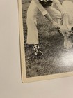 Vtg Beatles Photo John Lennon B  w 4 x6  Pig Promo  From The Imagine Lp Insert