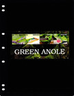  15 00 Scott Value - 2021 Grenada Green Anole S s Lizards Cv Mnh Nh Umm