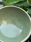 Song Dynasty Jun Kiln Bean Green Cup  960-1279   A Rare Chinese Porcelain