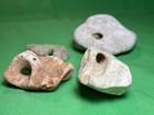 Lot Of 4 Small Hag Stones Naturally Made Clear Through Holy Rocks  7