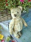 Antique Vintage 1950 s Original Steiff Teddy Bear Loved