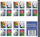 Flowers   Plants  - 1 Sheet