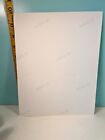 1960 s Walt Disney Photo  Daniel Boone Fess Parker  1