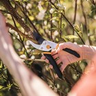 Fiskars Bypass Pruning Shears  5 8-inch Cut Capacity Garden Clippers  Gardening