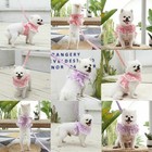 Cute Floral Girls Pet Dog Harness And Leash Set Puppy Cat Princess Dress Wedding