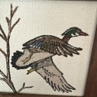 Vintage Wood Framed Nature Mallard Duck Nature Sand Art  Signed Helen Stanley
