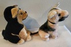 2 Old Dakin Sitting German Shepherd Pups