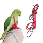 Adjustable Birds Harness And Leash Parrot Harness Leash Training Supplies Pet   
