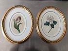 Pair Antique Victorian Botanical Floral Watercolor Flowers Romantic
