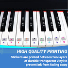 Qmg Color Piano Keyboard Music Note Full Set Stickers For White And Black Keys