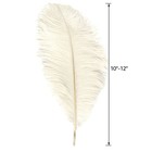 Natural Ostrich Feathers 25-30cm - Wedding Party Home Decor Craft Supply