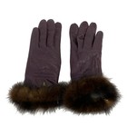 Lanvin Collection - Purple Dark Brown Leather Fur Women s Gloves