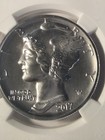 2017 1 Oz Palladium American Eagle Ms-69 Ngc High Relief  ships Priority Fast  