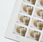 2011 Usps Forever Stamps Wedding White Rose 5 Sheets Of 20   100 Total