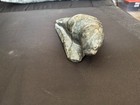 Vintage Ann Markossie Inuit Eskimo Seal Soapstone Carving sculpture