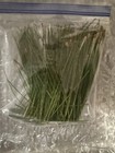 Green Long Leaf Pine Needles 4 Oz Per Bundle-great For Tea Or Crafts