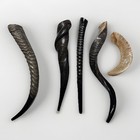 Eland Oryx Waterbuck Kudu Blesbok Shofar Horns 18   -27    Set Kosher Free Shipping