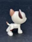 Littlest Pet Shop Lps  750 Great Dane White Brown Teardrop Brown Eyes