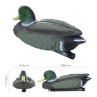 Floatable Mallard Duck Decoy - Realistic   Durable Hunting Decor  1 Pack  
