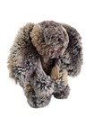 Jellycat Small Bashful Woodland Babe Bunny Plush Stuffed Grey Brown 8 used