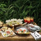 New Michael Aram Serving Bowl-tulip Medium Footed Platter no Box  Msrp   375 00