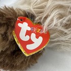 Ty Zingeg 2015 - With Tags 7    X 5 5    Plush Doll