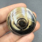 Rare Ancient Indo Tibetan Eye Agate Round Bead