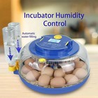 Incubators For Hatching Eggs 18 Egg Incubator With Automatic Egg Turning And    