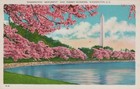 Washington Monument Cherry Blossoms Washington Dc Posted Vintage Linen Post Card