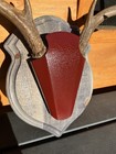 Deer Antler Mounting Kit - Hunting Whitetail Deer Antler Plaque Cap Taxidermy