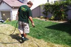 Lawnlift Grass Paint Super Concentrate 1 Gallon  Covers Up To 3 000 Sq  Ft 
