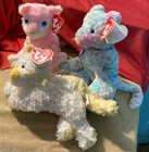 Ty Beanie Cats-2002 Pink Carnation-2003 Jaz-2005 Saffron-all New-mint W mint Tag