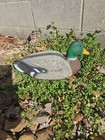 1996 Flambeau Mallard Duck Decoy Plastic 15  Hunting Floating Wild Drake