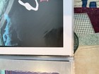 Rare Roger Waters Us   Them 2017 North American Tour Poster Angryblue 230 1000
